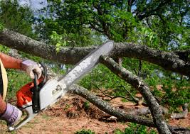 Leaf Removal in Mountain View, NC